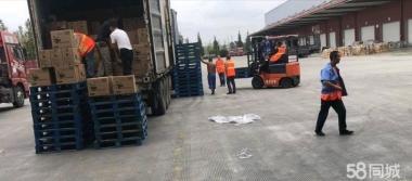 專業誠信搬家服務 廂貨、金杯、面包車齊全，人工打包搬運全程無憂